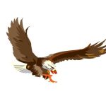 Eagle Systems