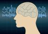 The Genius Song Reviews 2026: Real User Results After Using The Brain Song Daily