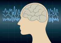 The Genius Song Reviews 2026: Real User Results After Using The Brain Song Daily