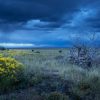 Great Plains