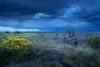 Great Plains