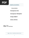 TOP INTERNATIONAL ENGINEERING BOTSWANA (PTY) LTD