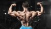 Best Legal Steroids for Lean Muscle Gains: Top Safe Options Ranked