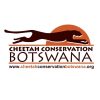 CHEETAH CONSERVATION BOTSWANA