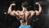 Best SARMs For Bigger Muscle 2026: Top Choices For Strength And Muscle Gains