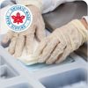 Safe Pro Cold Storage Solutions Proprietary Limited