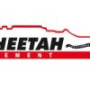 Cheetah Cement