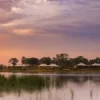 Dulini Daunara Botswana