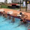 Morula School