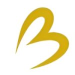 BLESSTECH FINANCIAL CONSULTANCY