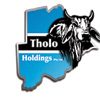 Tholo Holdings