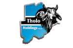 Tholo Holdings