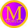 MORULA TECH SOLUTIONS