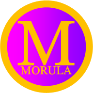 MORULA TECH SOLUTIONS